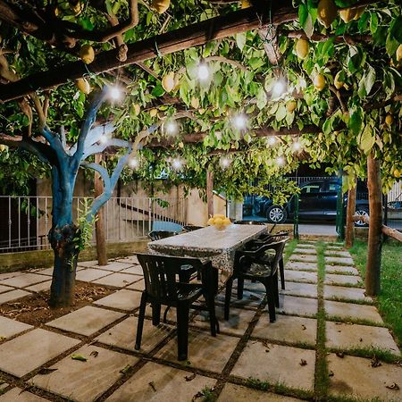 Il Giardino Dei Limoni Daire Polvica Dış mekan fotoğraf