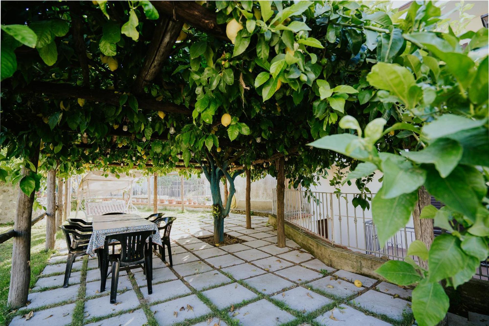 Il Giardino Dei Limoni Daire Polvica Dış mekan fotoğraf